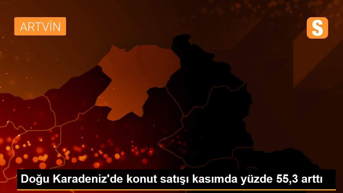 Doğu Karadeniz\'de konut satışı kasımda yüzde 55,3 arttı