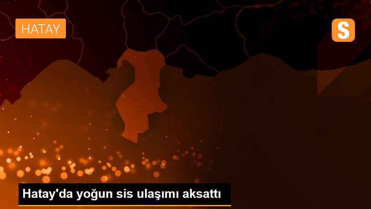 Hatay\'da yoğun sis ulaşımı aksattı