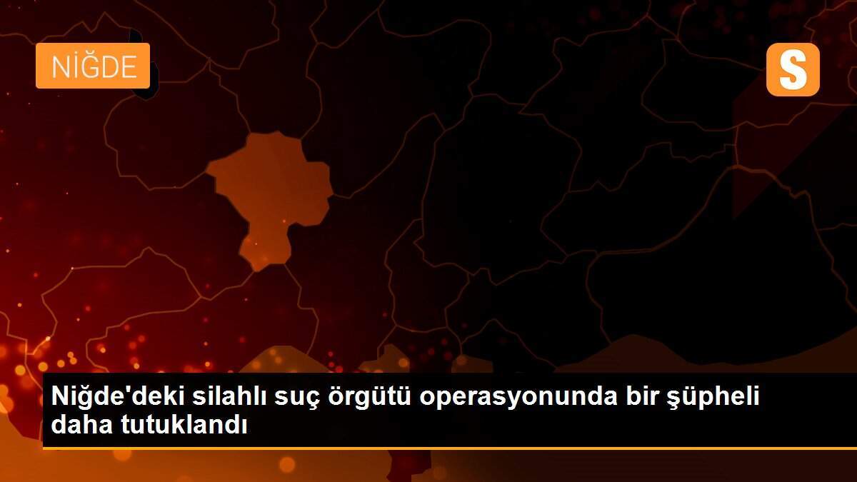Niğde\'deki silahlı suç örgütü operasyonunda bir şüpheli daha tutuklandı