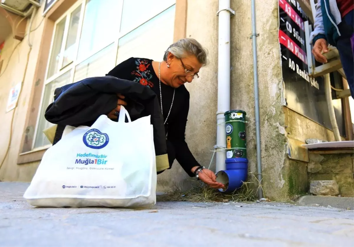 100 yaş evi sakinlerinden sokak hayvanları için örnek davranış