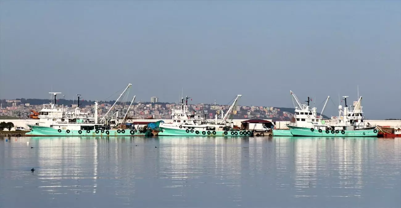 Hamsi erken göç etti balıkçı umudunu çaçaya bağladı