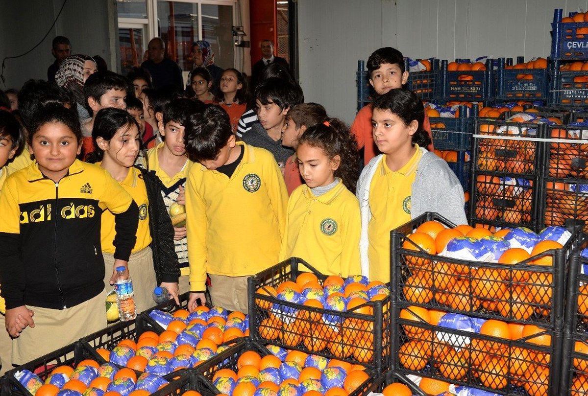 İlkokul öğrencileri, Toptancı Hal Kompleksini gezdi