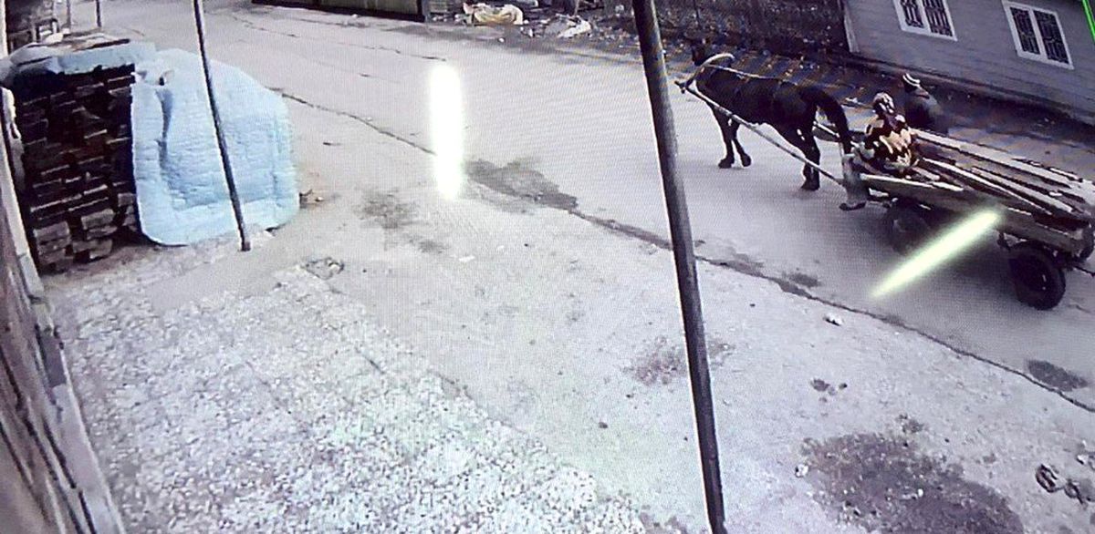 İnegöl\'ün başı hırsızlarla dertte