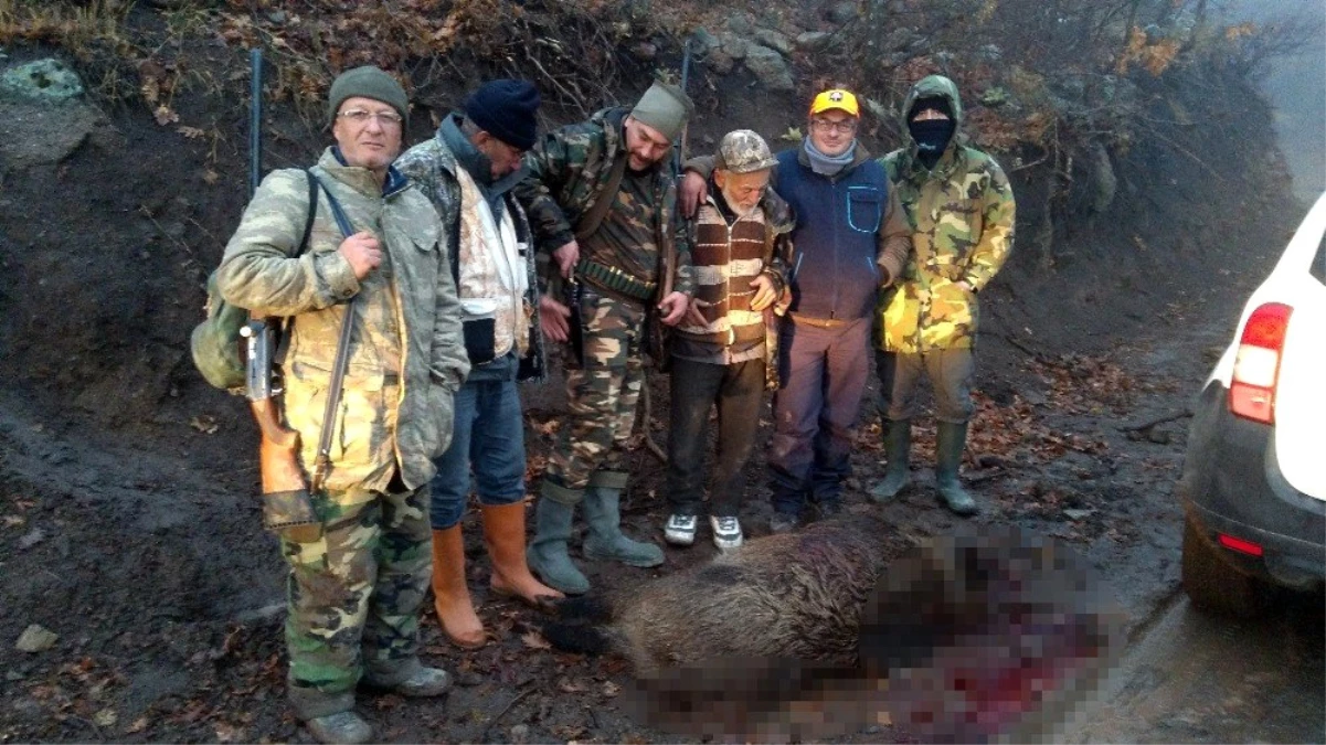 Karaman\'da yaban domuzlarına karşı sürek avları devam ediyor