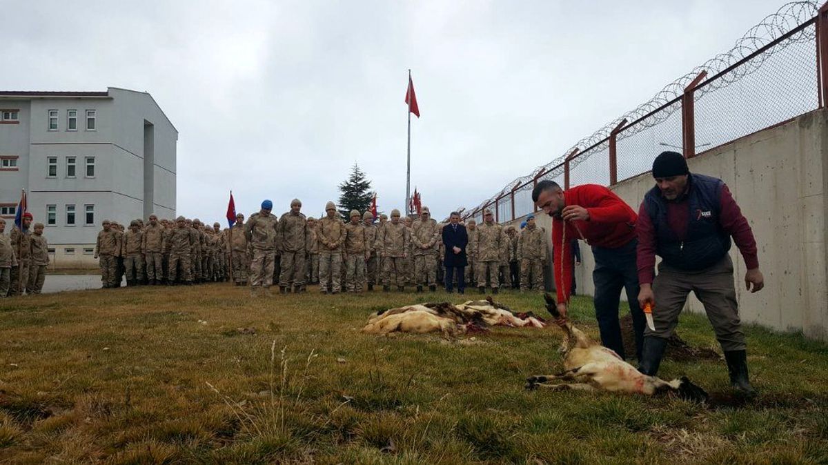 "Kıran-8 Sehi Ormanları" operasyonuna katılan askerler için kurban kesildi