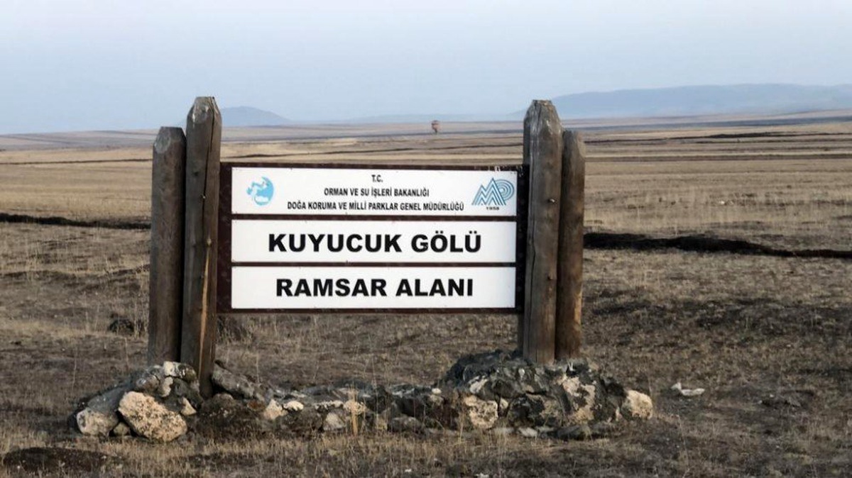 Kuyucuk Gölü Kuş Cenneti kurudu
