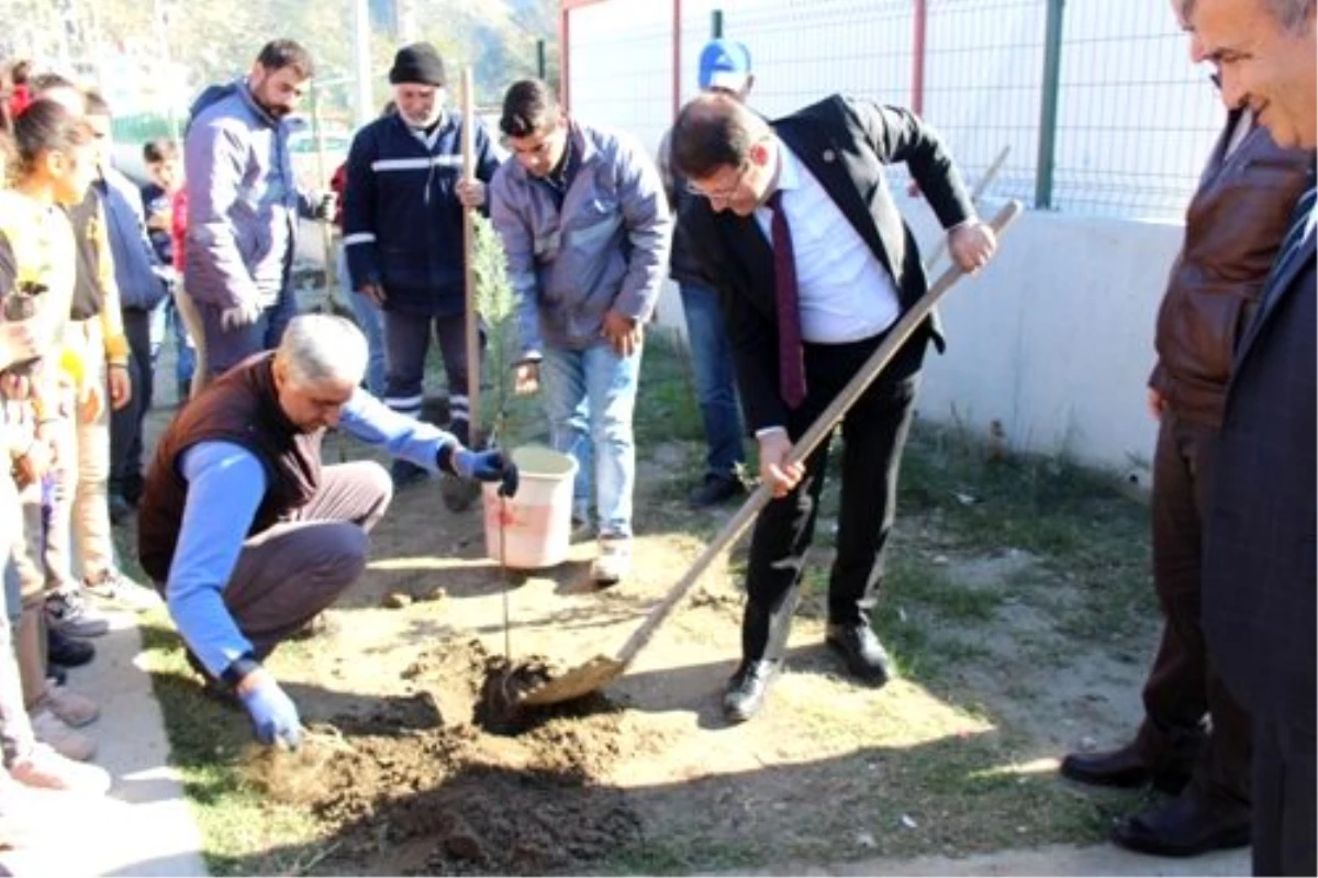 Samandağ\'da okul bahçeleri ağaçlandırılıyor