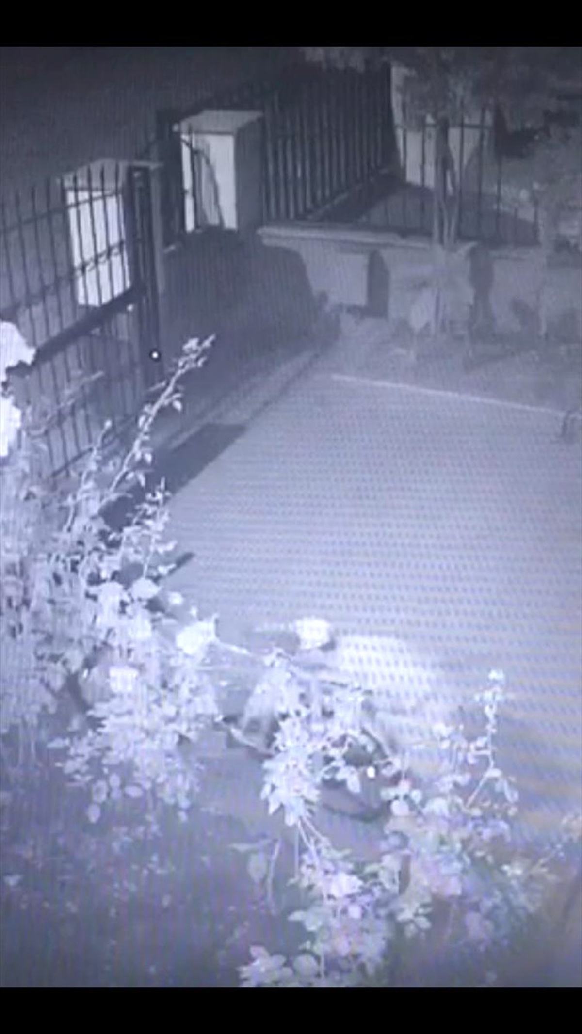 Yalova\'da bisiklet hırsızlığı şüphelisi tutuklandı