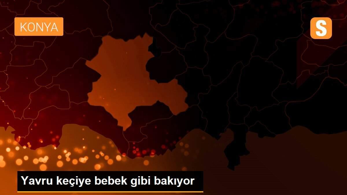 Yavru keçiye bebek gibi bakıyor