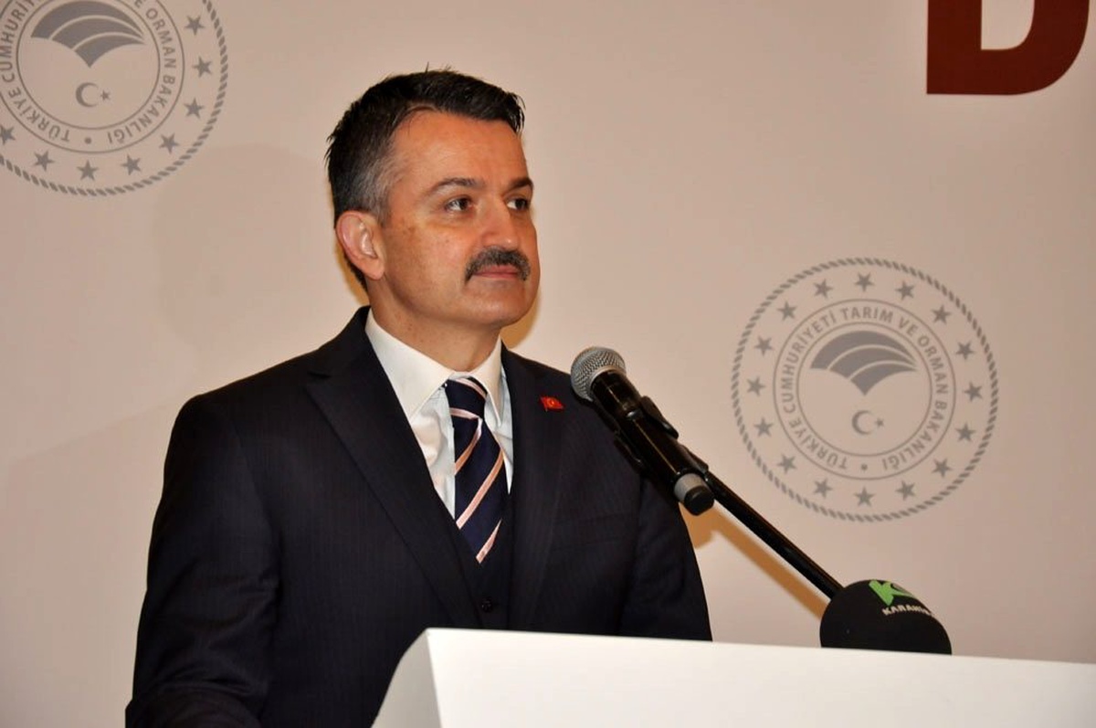 Bakan Pakdemirli\'den zeytin üreticilerine müjde