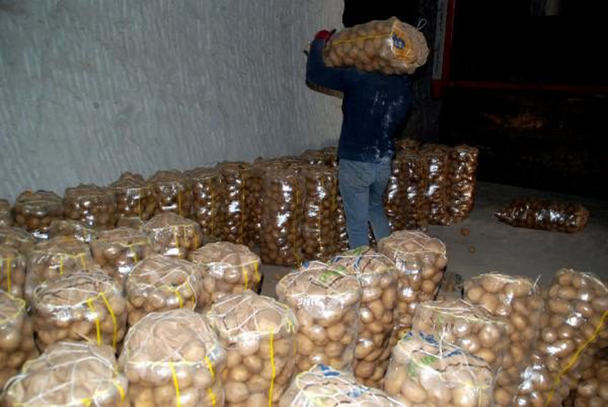Bakanlıktan patates tüketimine teşvik
