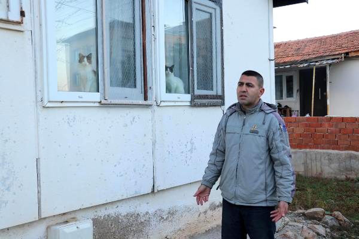 Beslediği 6 sokak kedisi bir ay içinde öldürüldü
