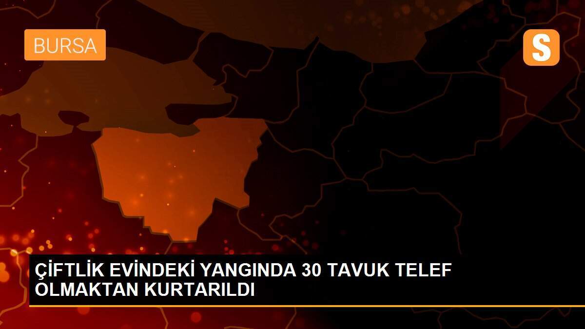 ÇİFTLİK EVİNDEKİ YANGINDA 30 TAVUK TELEF OLMAKTAN KURTARILDI