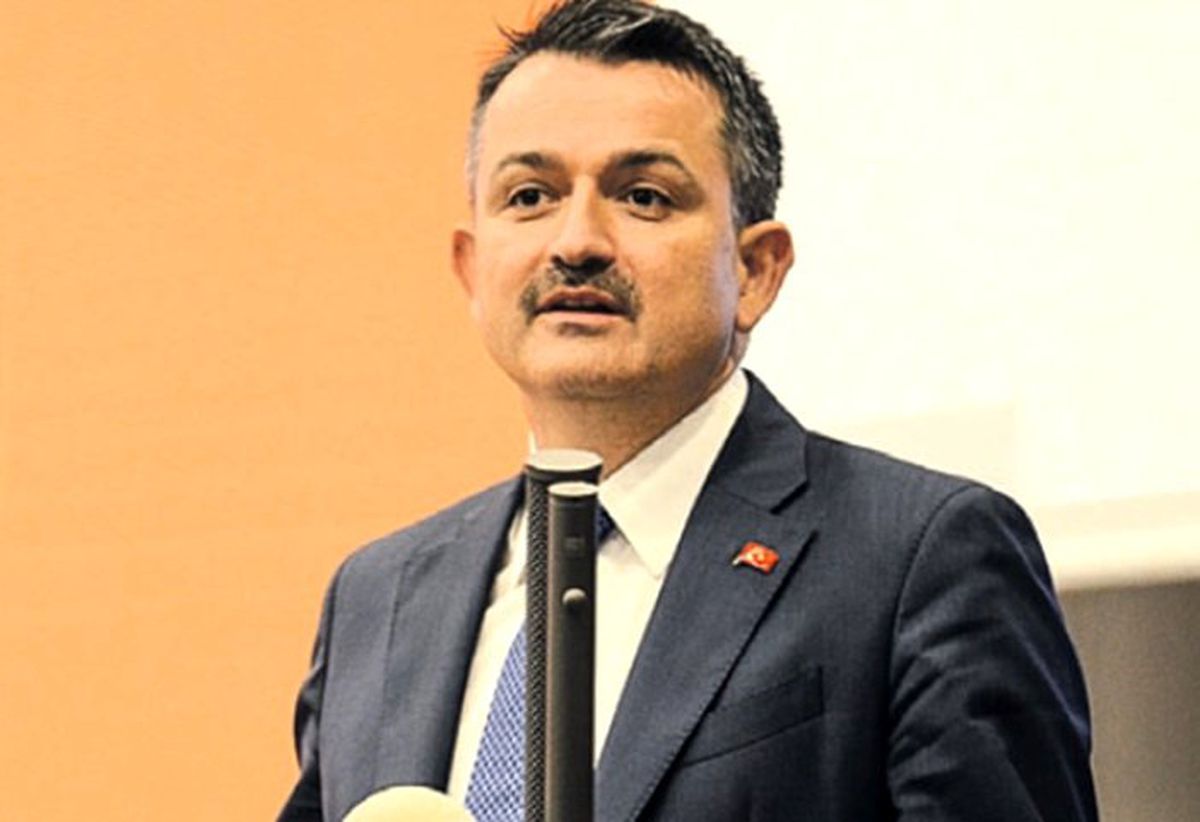 "Gıdada tağşiş yapanları piyasada yaşatmayacağız"