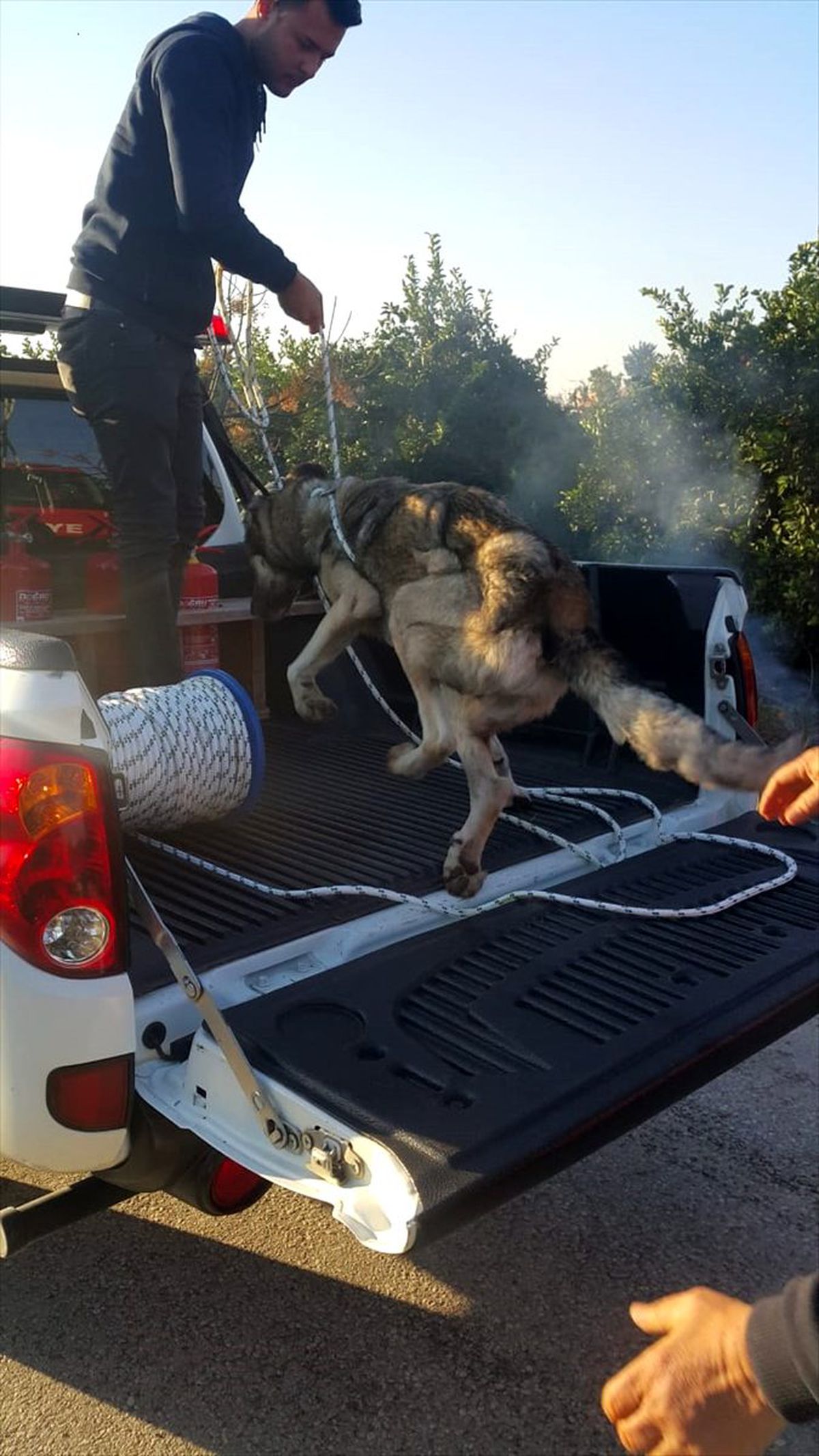 Hatay\'da boş su kuyusuna düşen köpeği itfaiye kurtardı