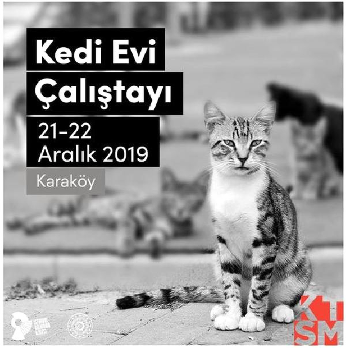Kale Tasarım ve Sanat Merkezi\'nde sokak kedileri için Kedi Evi Çalıştayı