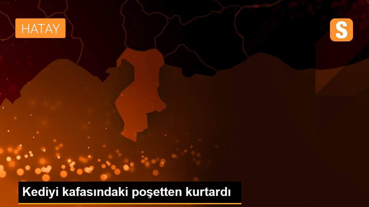 Kediyi kafasındaki poşetten kurtardı