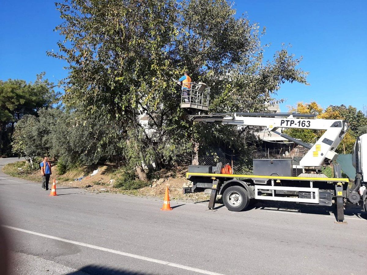 Manavgat\'ta tehlike oluşturan ağaçlar budandı