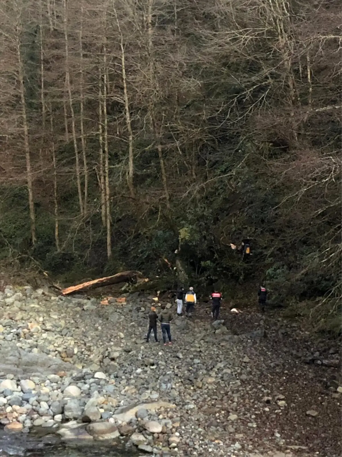 Rize\'de kestikleri ağaç üzerlerine devrilen çift öldü