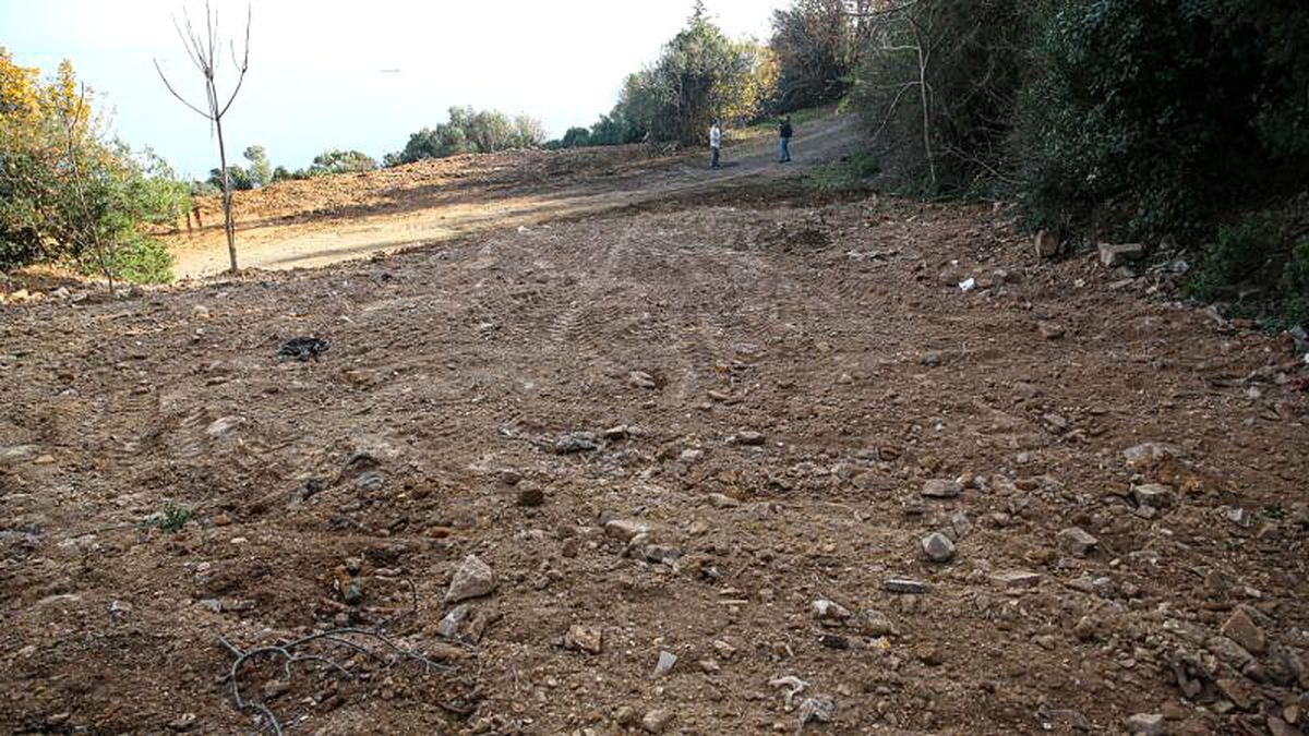 Adalar\'da 81 at itlaf edildi, ölen atlar kireç dökülerek gömüldü