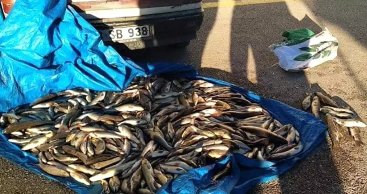 \'Tırıvırı\' diye tabir edilen malzemelerle avlanan 8 kişiye yasal işlem yapıldı