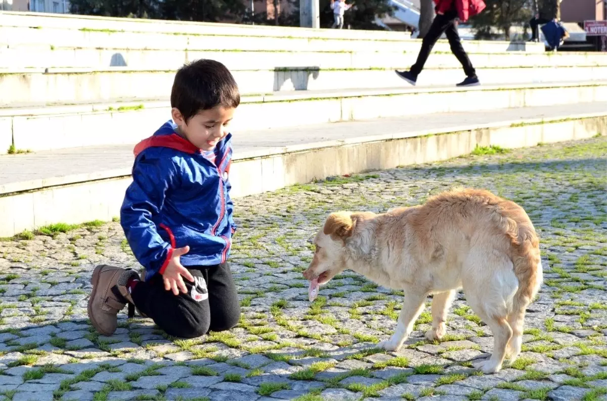 Yaşı küçük, sevgisi büyük