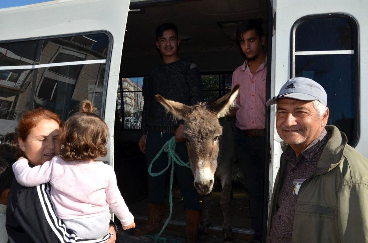 Yaylaya terk edilen eşek için seferber oldular