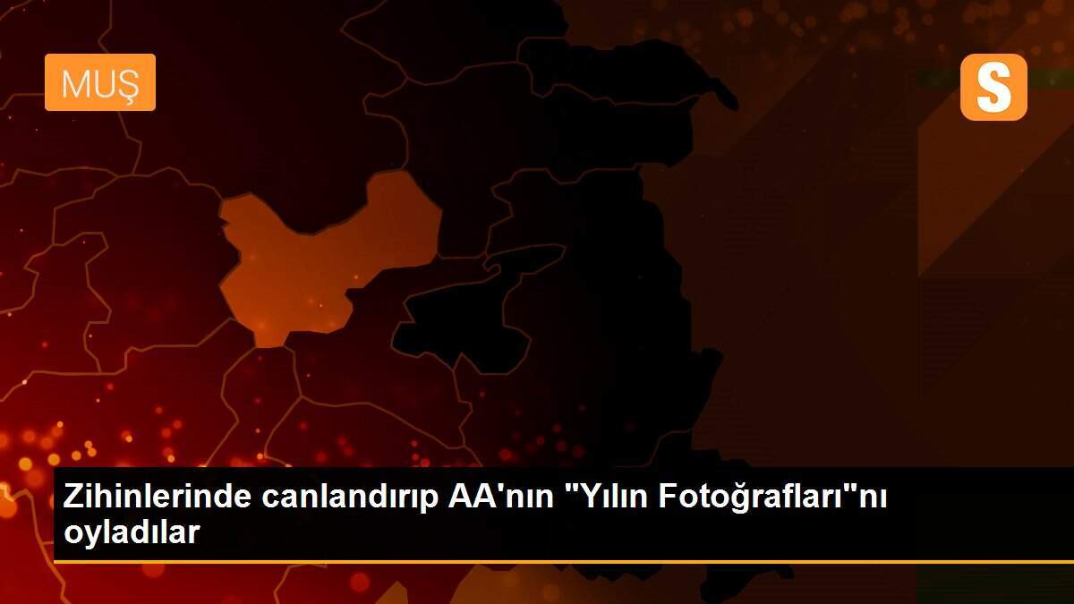 Zihinlerinde canlandırıp AA\'nın "Yılın Fotoğrafları"nı oyladılar