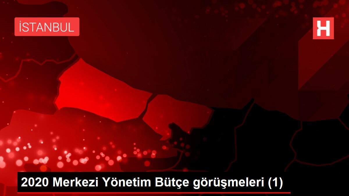 2020 Merkezi Yönetim Bütçe görüşmeleri (1)