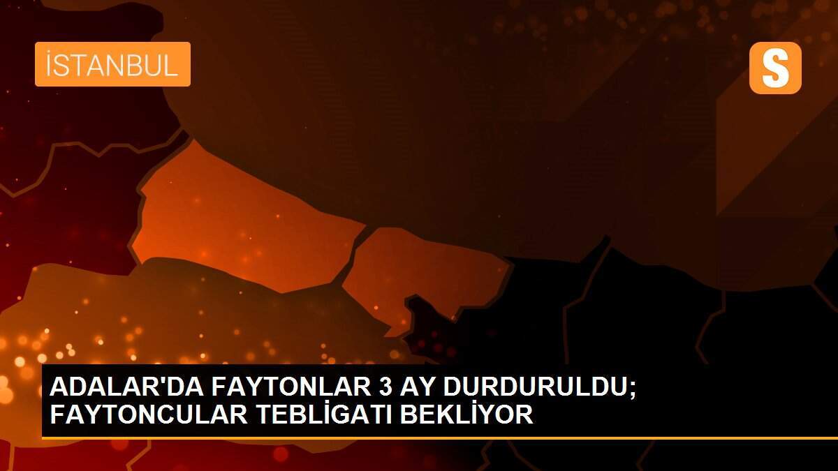 ADALAR\'DA FAYTONLAR 3 AY DURDURULDU; FAYTONCULAR TEBLİGATI BEKLİYOR