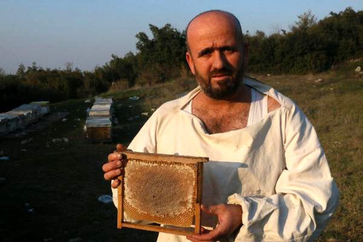 Arı üreticileri \'sıcak havadan\' tedirgin