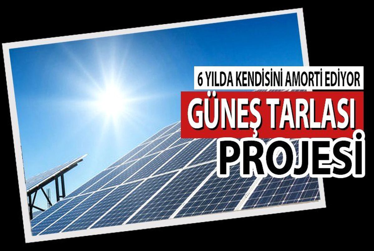 Bafra\'ya Güneş Tarlası