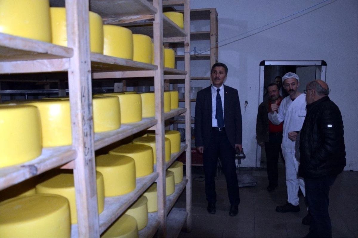 Başkan Kaya, süt ürünleri fabrikasını inceledi