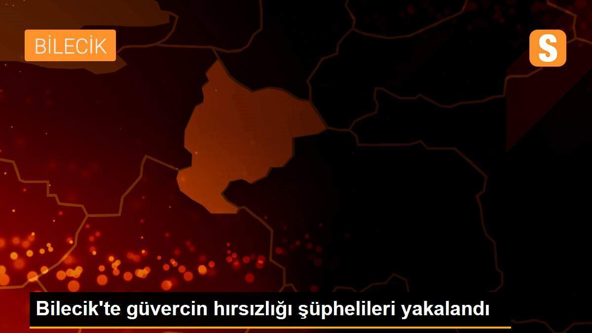 Bilecik\'te güvercin hırsızlığı şüphelileri yakalandı