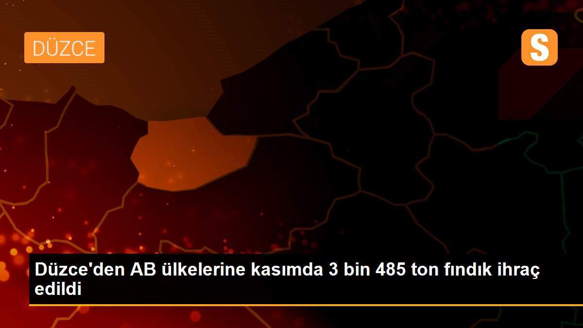 Düzce\'den AB ülkelerine kasımda 3 bin 485 ton fındık ihraç edildi