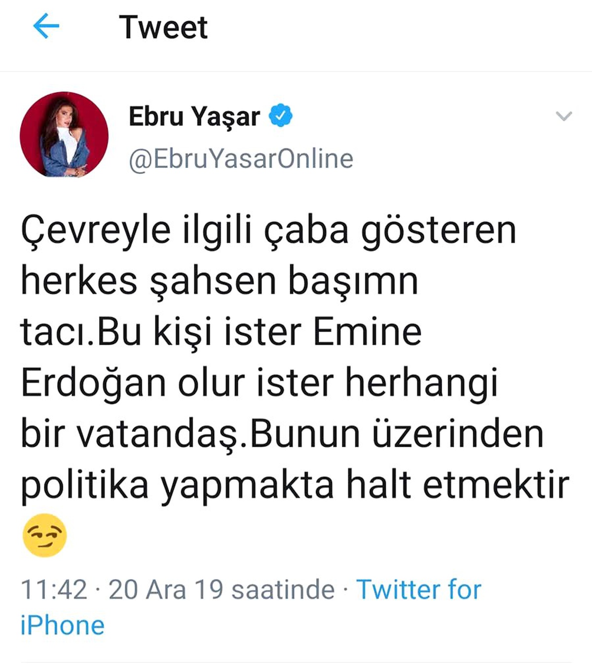 Ebru Yaşar: Çevre üzerinden politika yapmak halt etmektir!