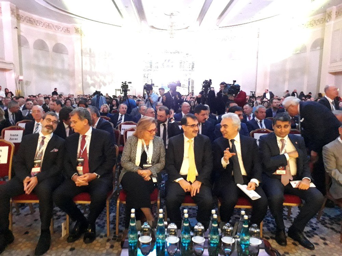 Enerji Bakanı Dönmez: "Vatandaşlarımız istedikleri taktirde sadece yenilenebilir enerji...