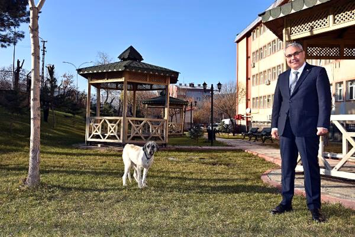 Eziyet edilen \'Şeker\' köpek, emin ellerde