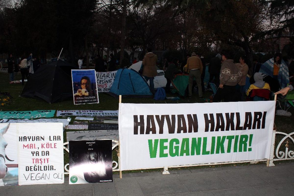 İBB önündeki fayton eylemi devam ediyor