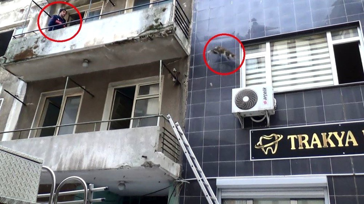 İnatçı kedi itfaiyecileri pes ettirdi