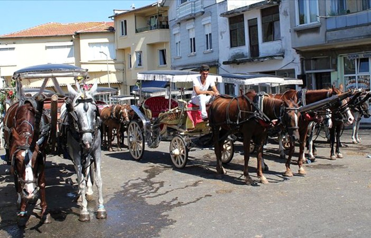 Faytonlara at koşulması 3 ay durduruldu