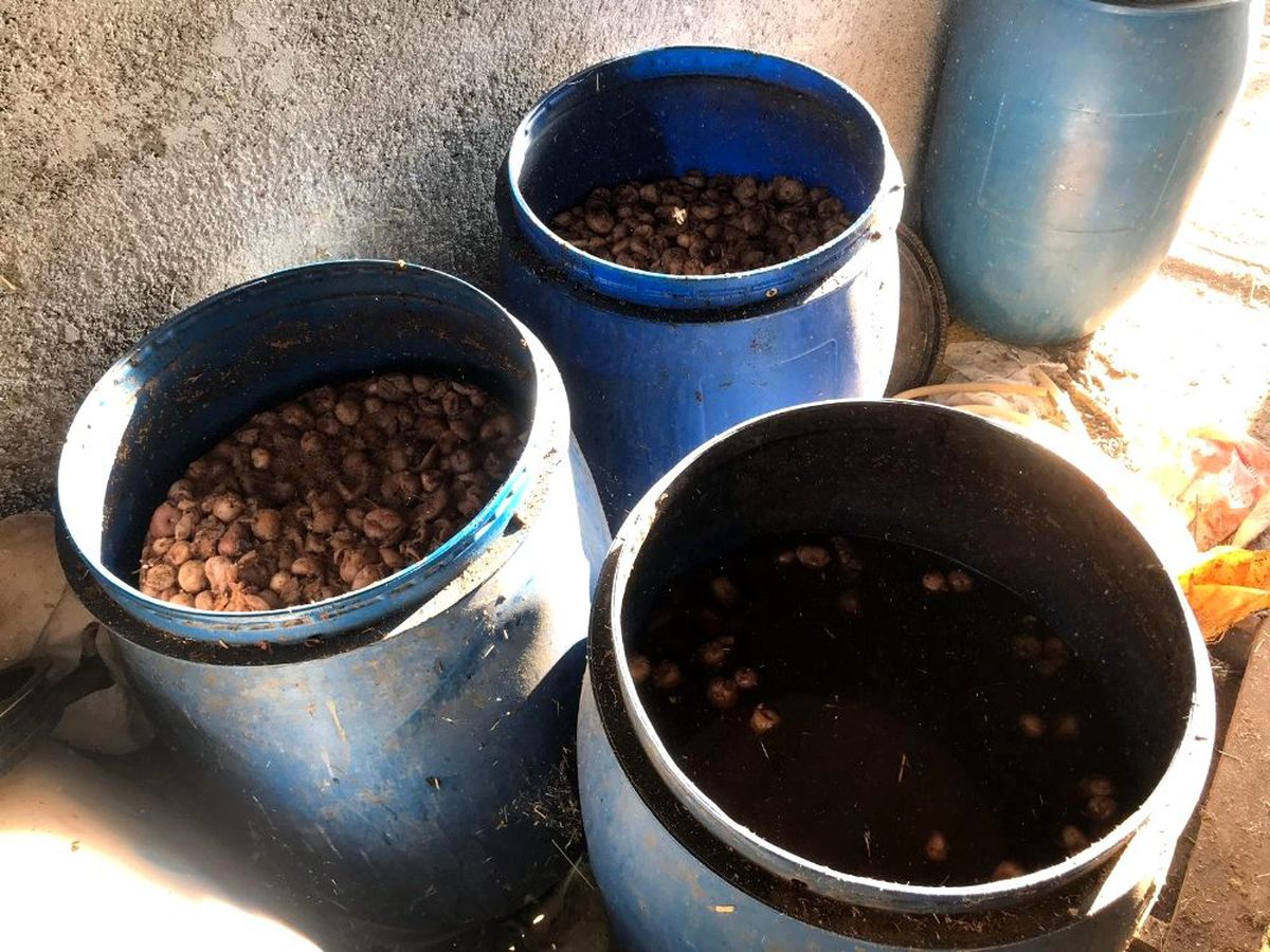 Malatya\'da 2 ton kaçak alkol ele geçirildi