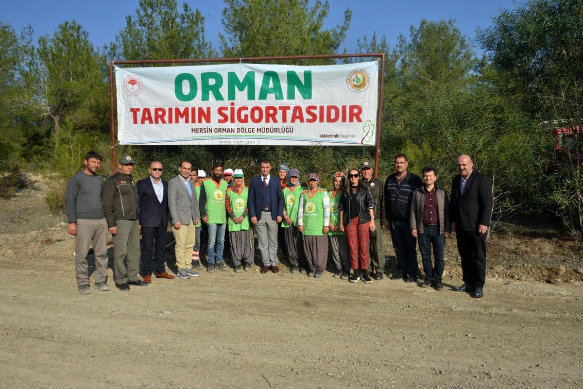 Mersin\'de Uluslararası Turunçgil Kongresine özel hatıra ormanı