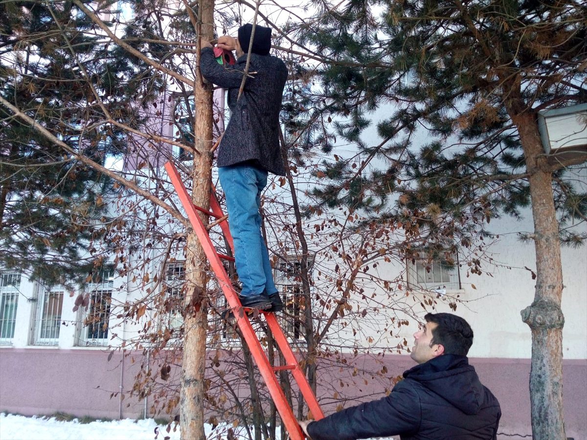 Öğrencilerden sokak hayvanları için mama ve yuva kampanyası