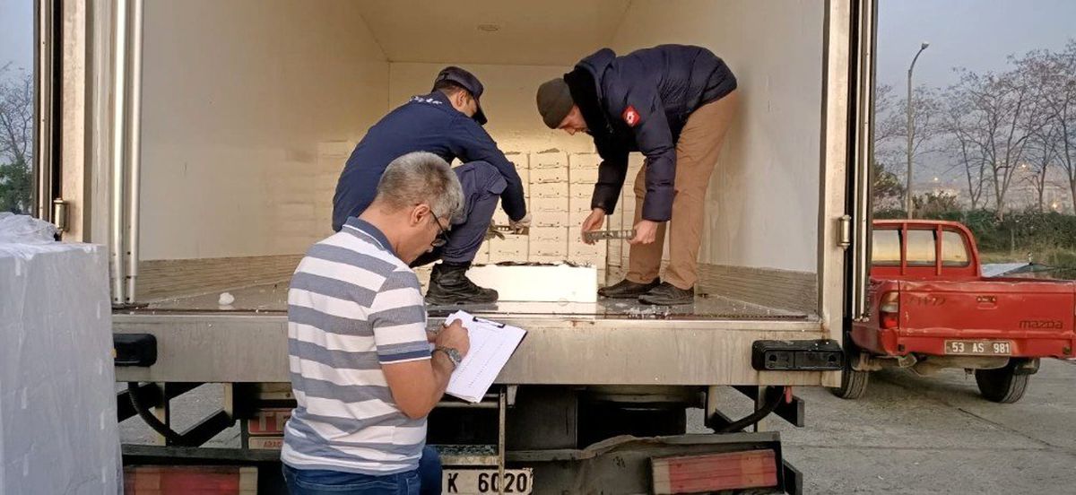 Rize\'de 10 ton istavrite el konuldu