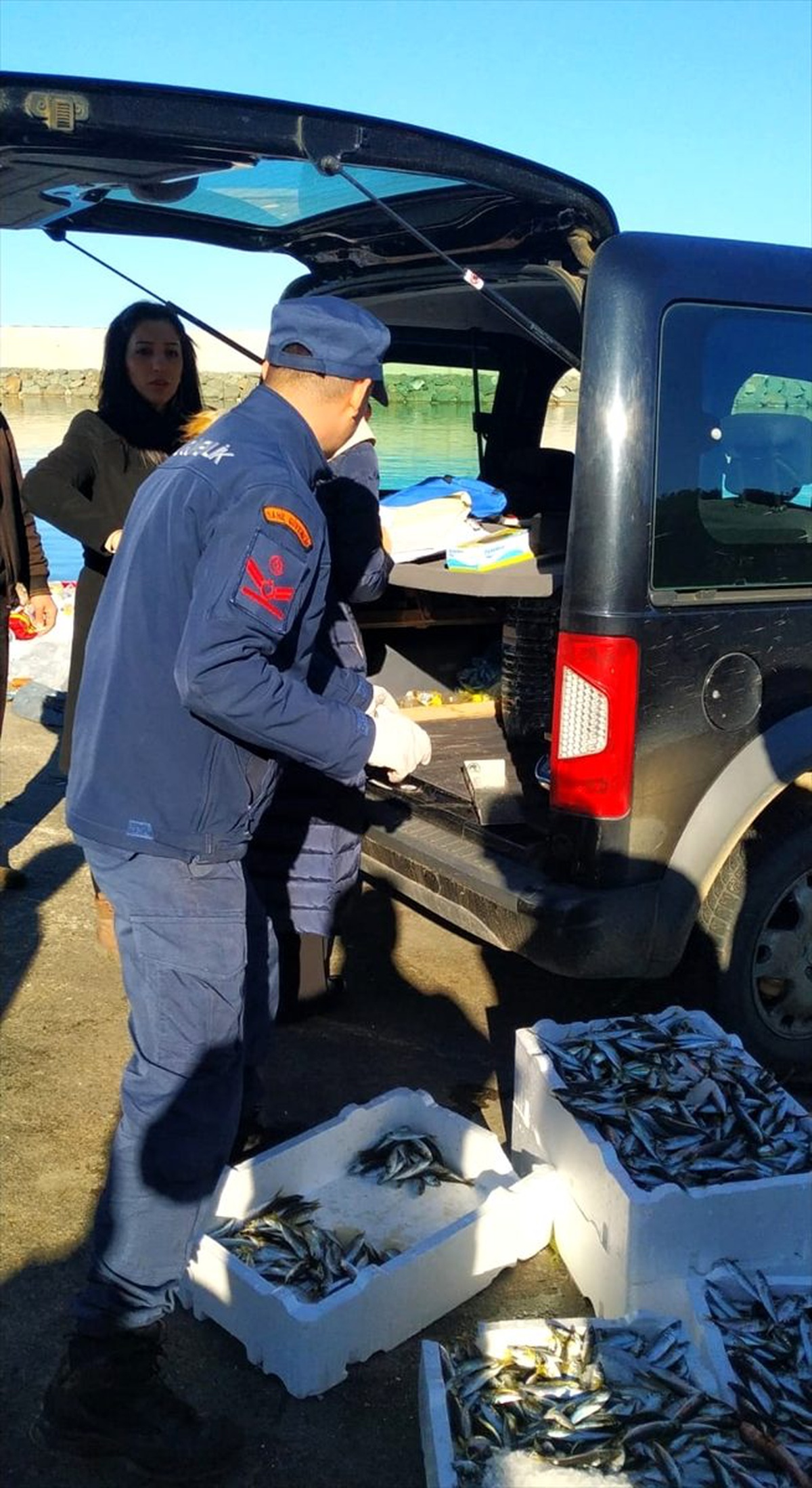 Rize\'de küçük boyda avlanan 1,5 ton balığa el konuldu