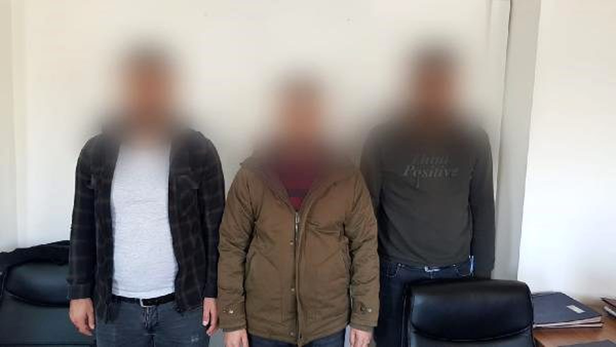Siirt\'te PKK\'lı 3 terörist teslim oldu