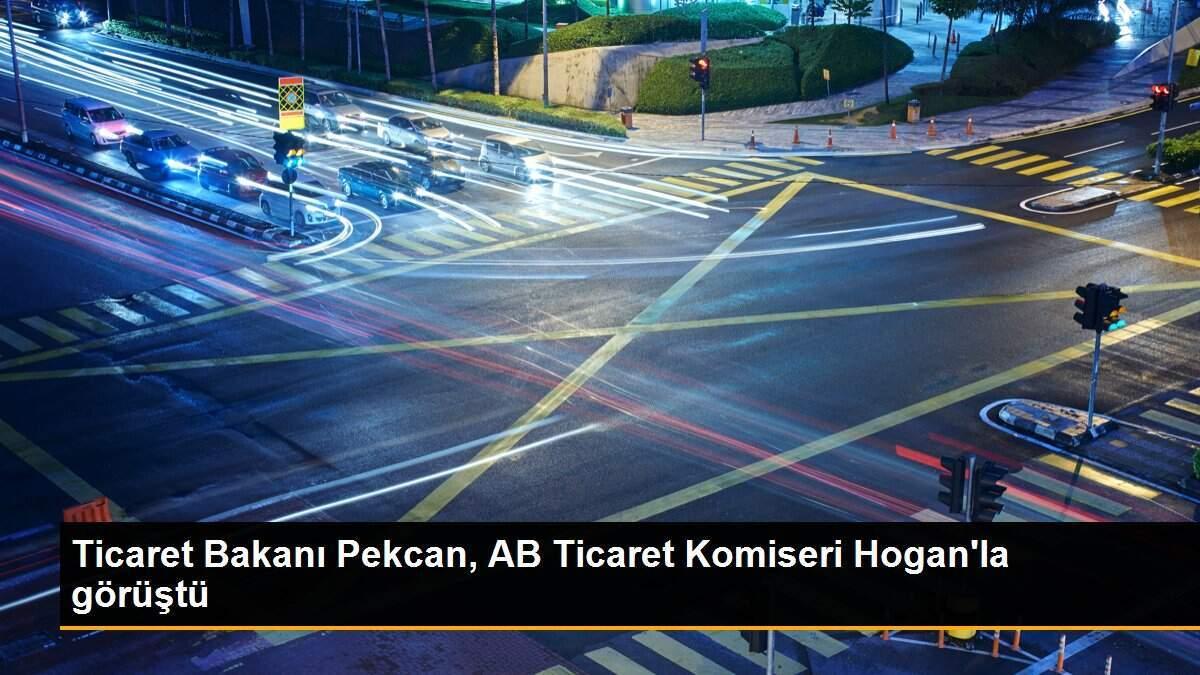 Ticaret Bakanı Pekcan, AB Ticaret Komiseri Hogan\'la görüştü