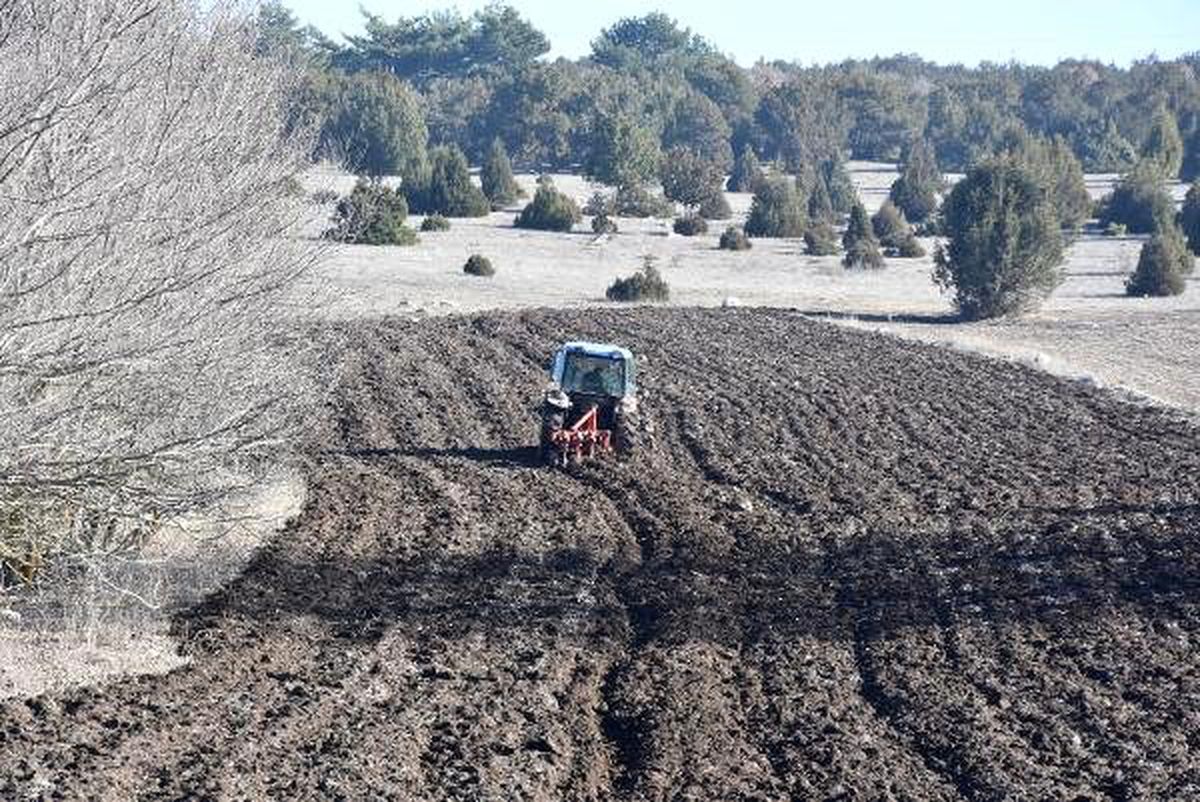 Traktörle tarla sürerken Roma dönemine ait mezar taşı buldu