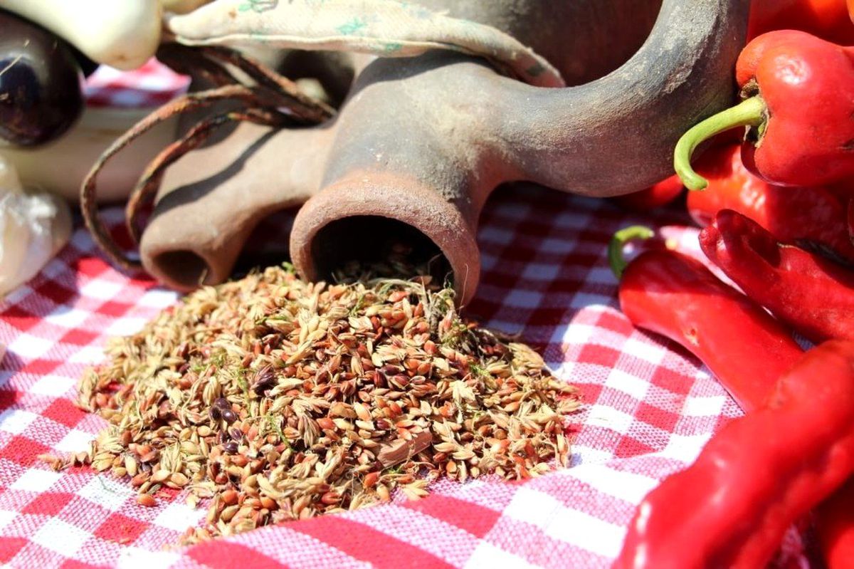 Aydın\'da tıbbi ve aromatik bitki arşivi oluşturuluyor